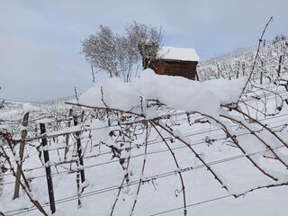 Kuhberg im Winter