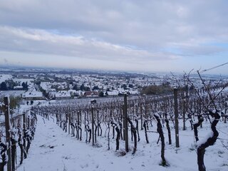 Kuhberg im Winter