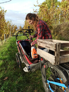 Mit dem E-Bike in den Weinberg - Freischneider